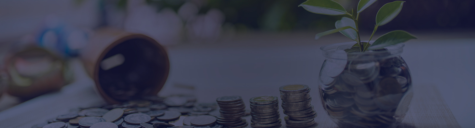 Sustainable Finance support and services
