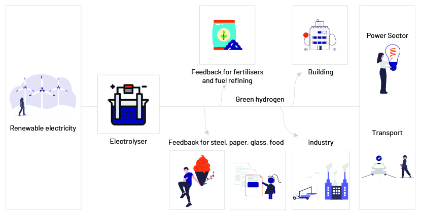 green hydrogen market trends