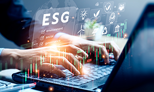 ESG Reporting and Standards