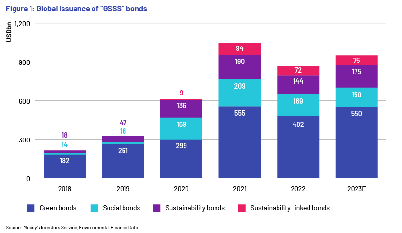Global issuance of GSSS bonds