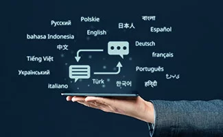 Multi-language capabilities 
