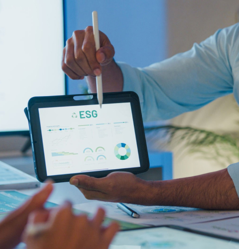 Capturing of ESG data for risk management in the banking sector