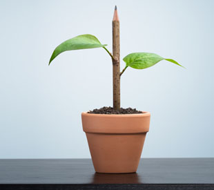 In the face of defaults: What sets resilient loan operations apart